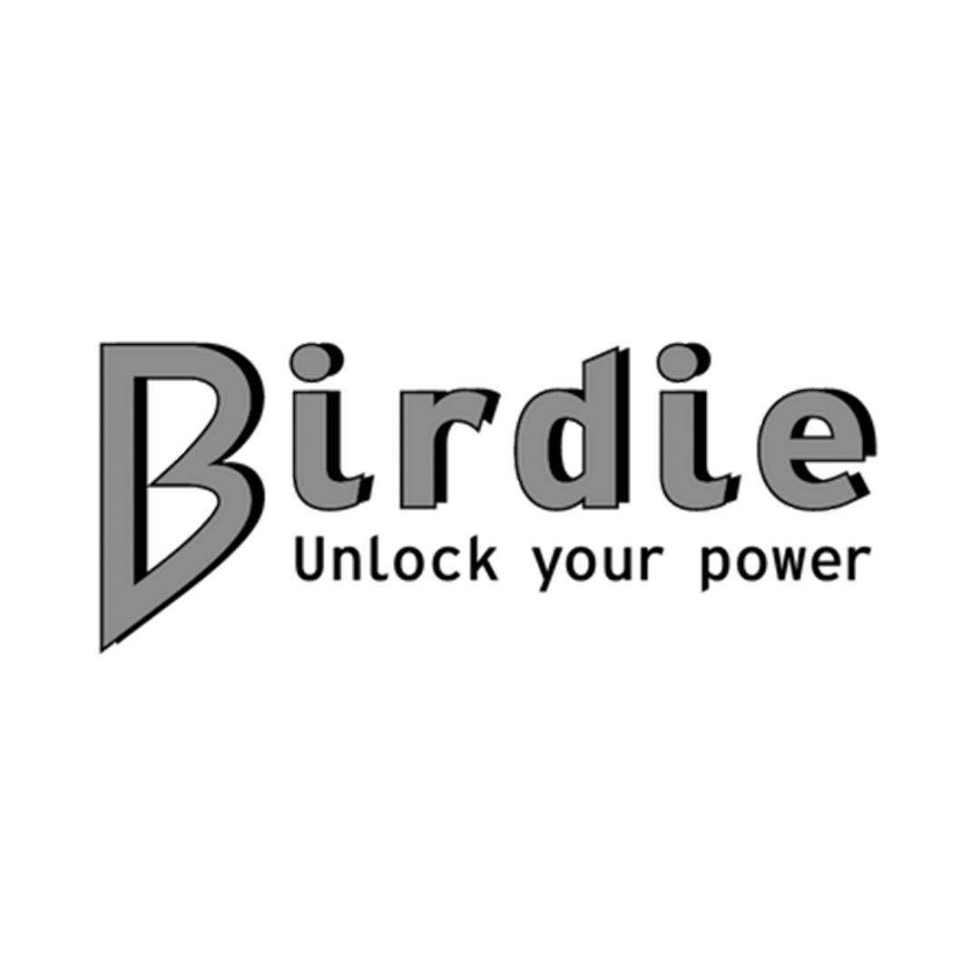 Agence google ads et Facebook ads Birdie