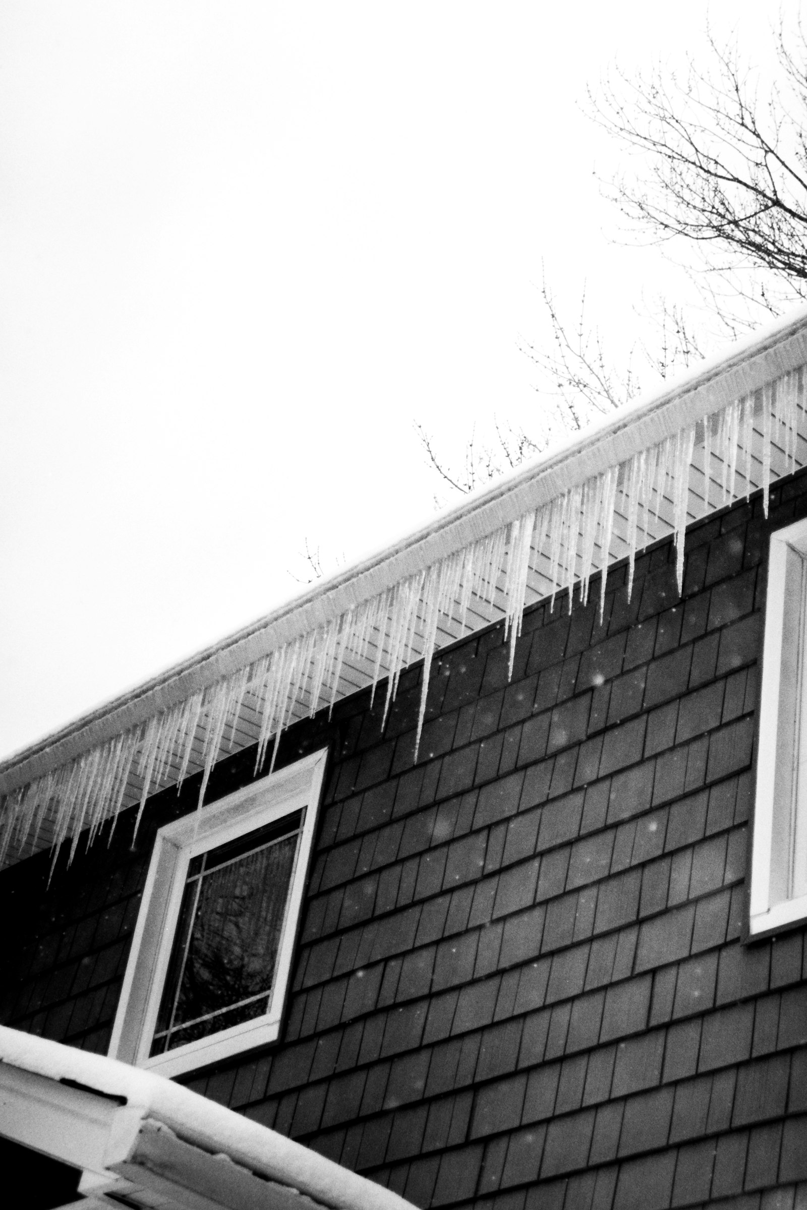 Icicles hanging from a shingled roof edge in winter