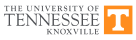 cybersecurity services