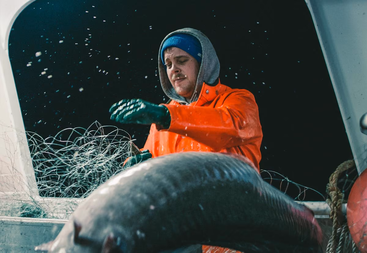 Norsk fiskeri etter snabeluer og blåkveite miljøsertifisert