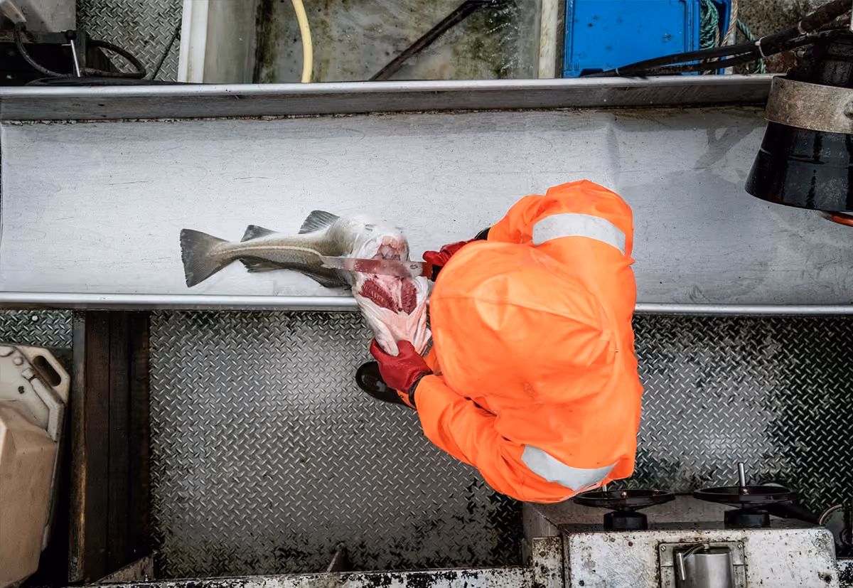 Nye rentesatser og endring i produktavgiften