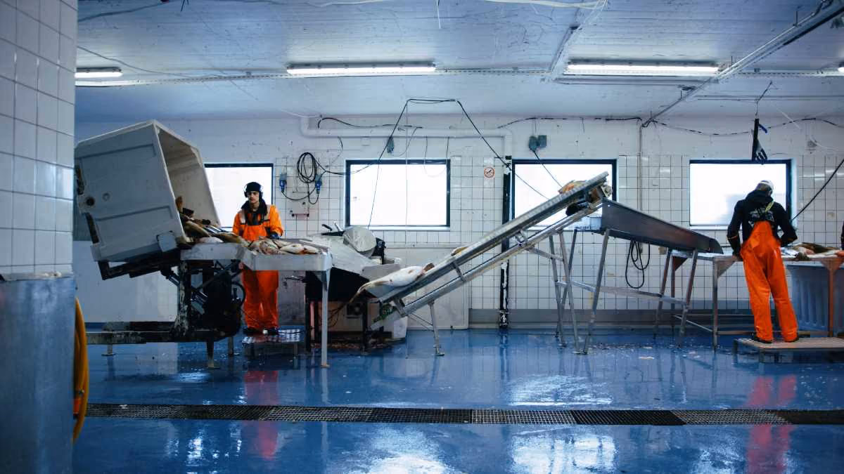Til fordel for begge parter - Fiskeflåtens bidrag til industrien på land
