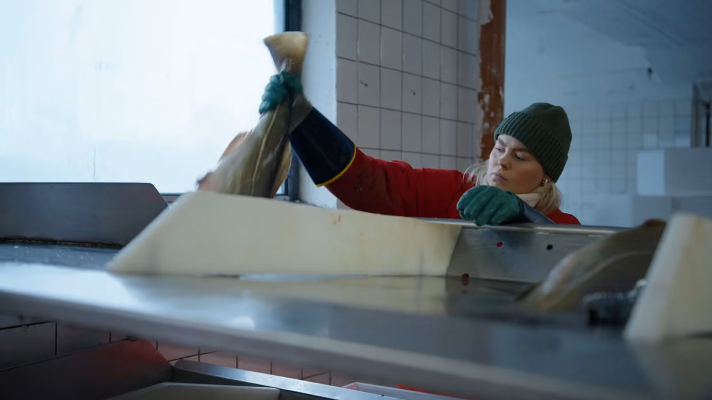 Kvotemelding for norske styrer