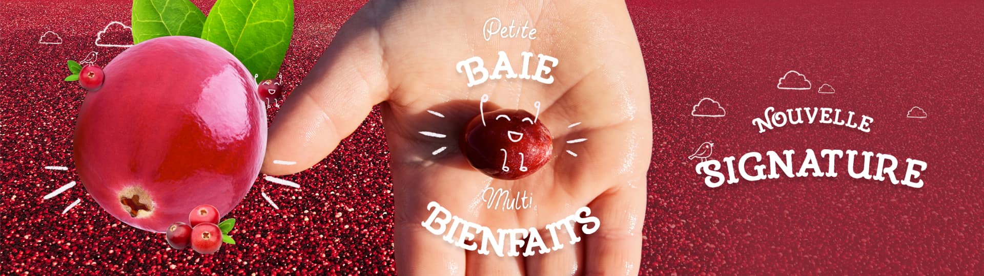 Présentation évènementielle réalisée pour le plan des marques Coca-Cola par Slidor