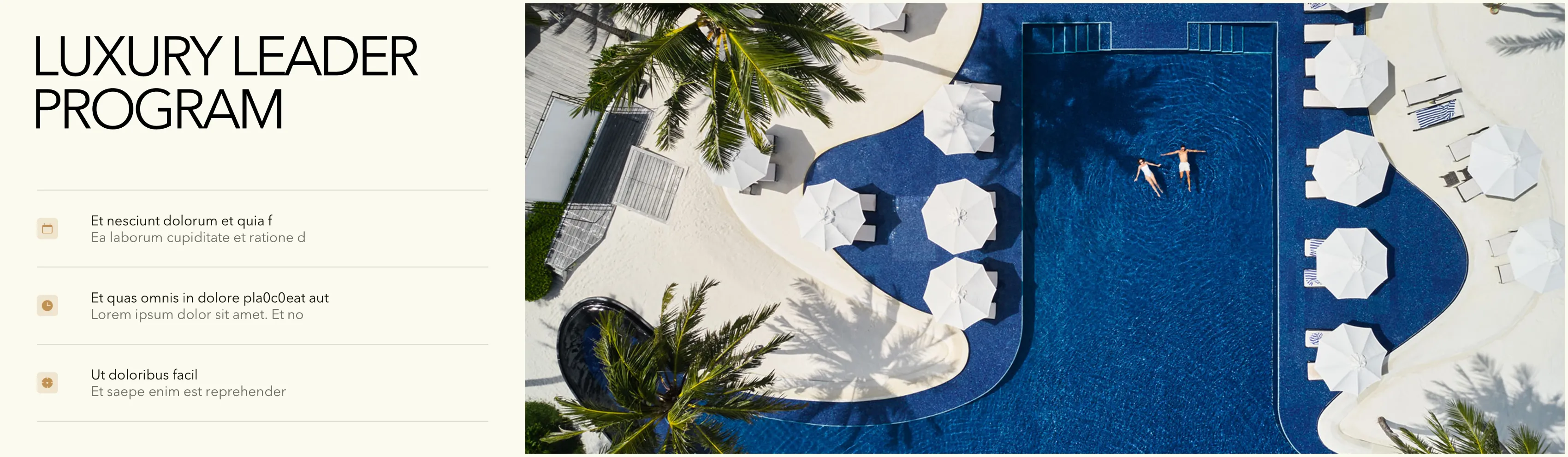 Hilton slide 'Luxury Leader Program' with an aerial view of a resort pool and parasols