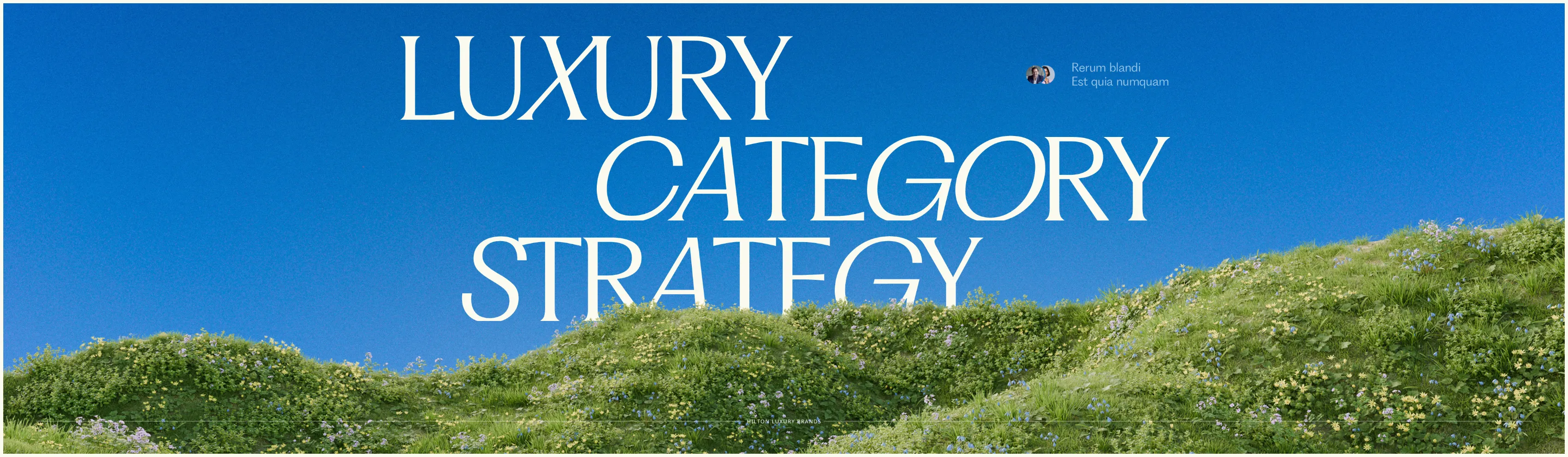 "Luxury Category Strategy" slide from the Hilton production with a flowering hillside landscape