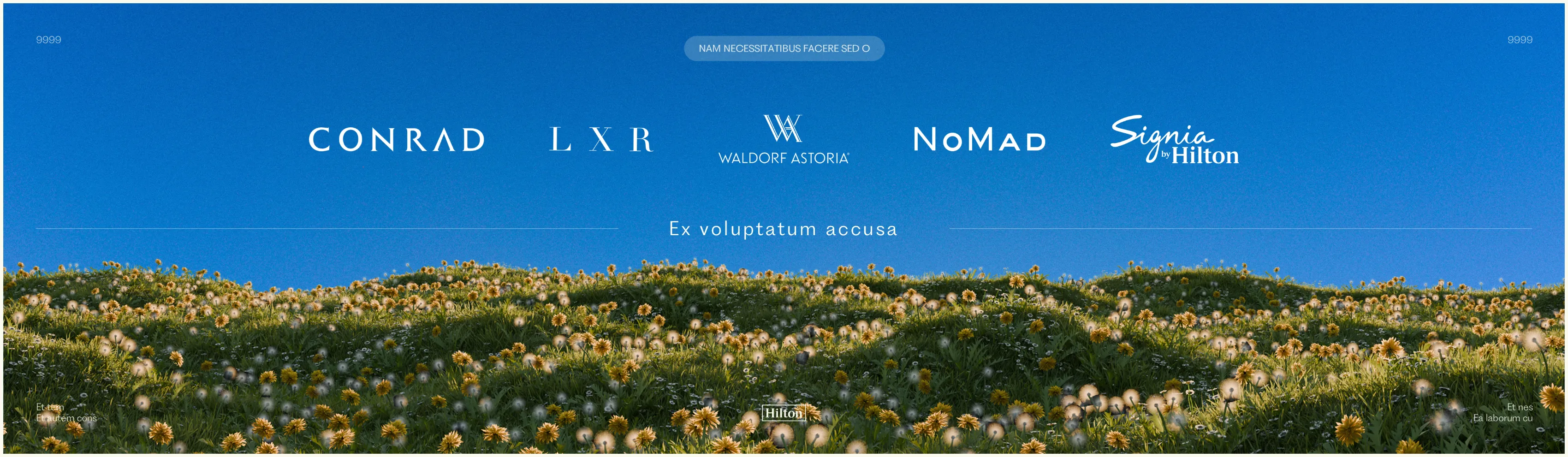 Hilton slide: the group's luxury brands (Conrad, LXR, Waldorf Astoria, NoMad, Signia) over a flowering meadow