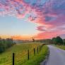 BEAUTIFY THE BLUEGRASS VOTING