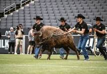 COLORADO MASCOT RETIRING