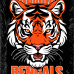 BENGALS SET RECORD LOSS
