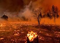 SPRING WILD FIRE SEASON