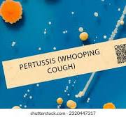WHOOPING COUGH OUTBREAK