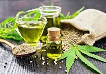 PAUL-MCCONNELL DISAGREE ON HEMP