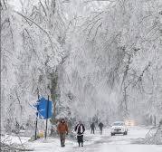 WINTER STORM DEATH TOLL REACHES 12