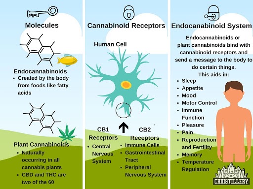 sell cbd online