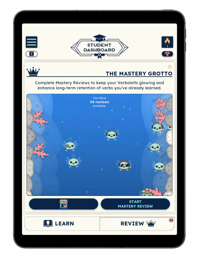 iPad VerbMaster Practice gif