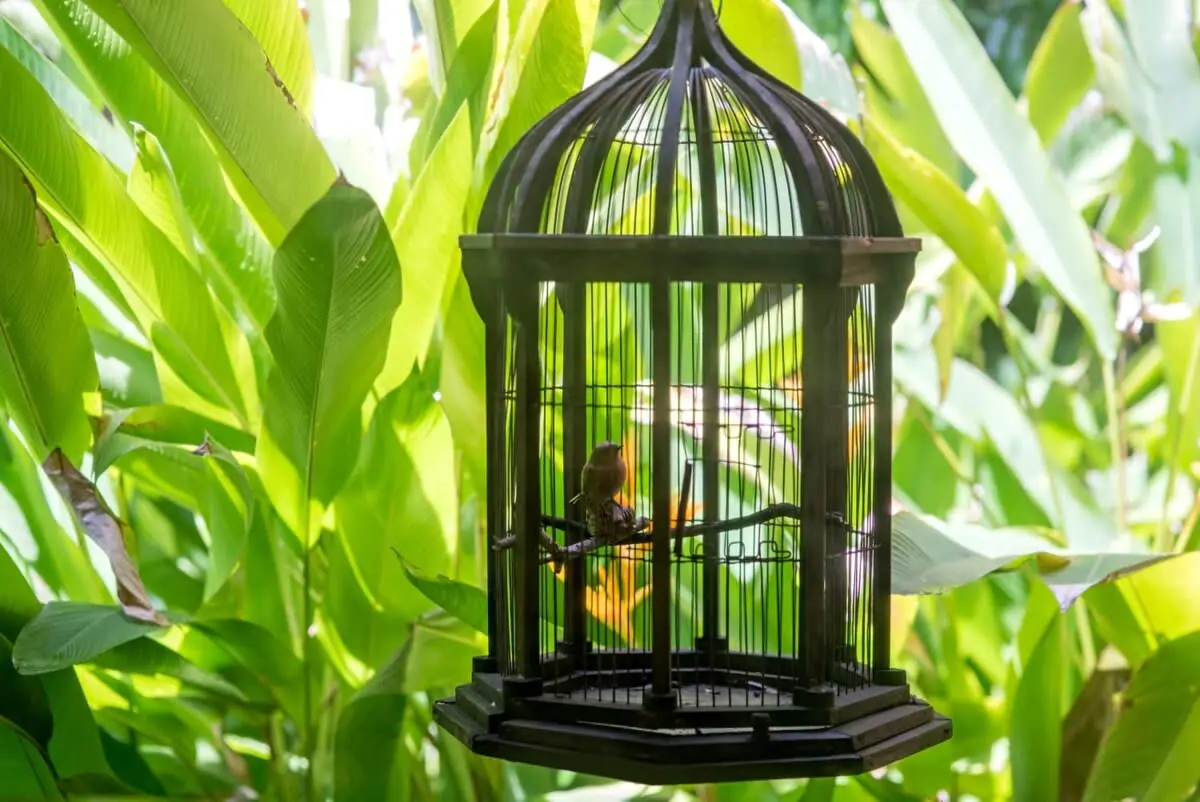 Property gallery image