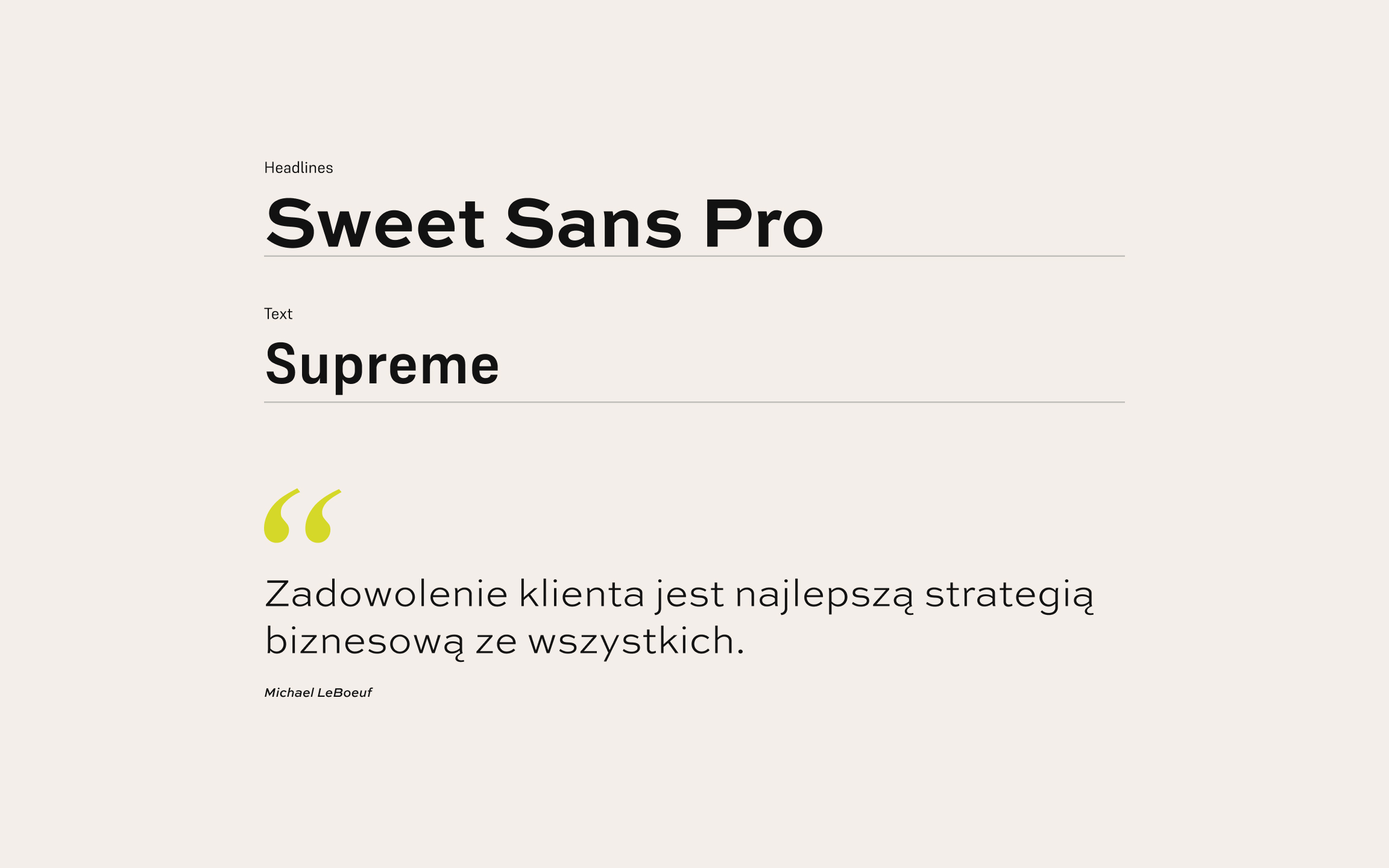Typografia wykorzystana w projekcie