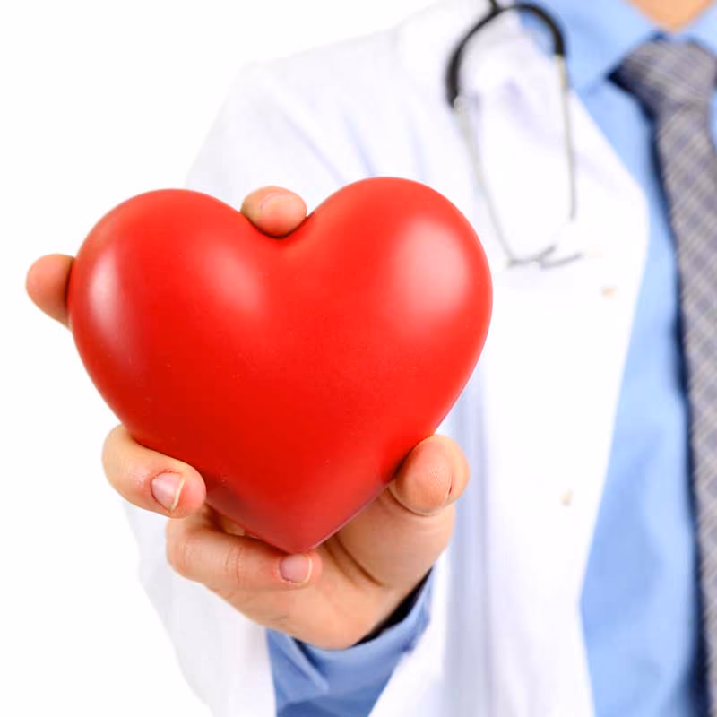 Doctor Holding Plastic Heart