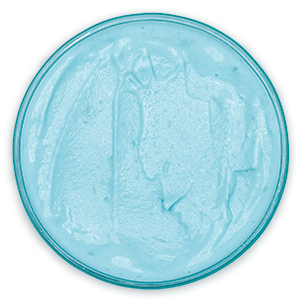 bases image