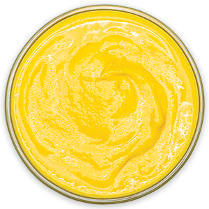 Mango Base Icon