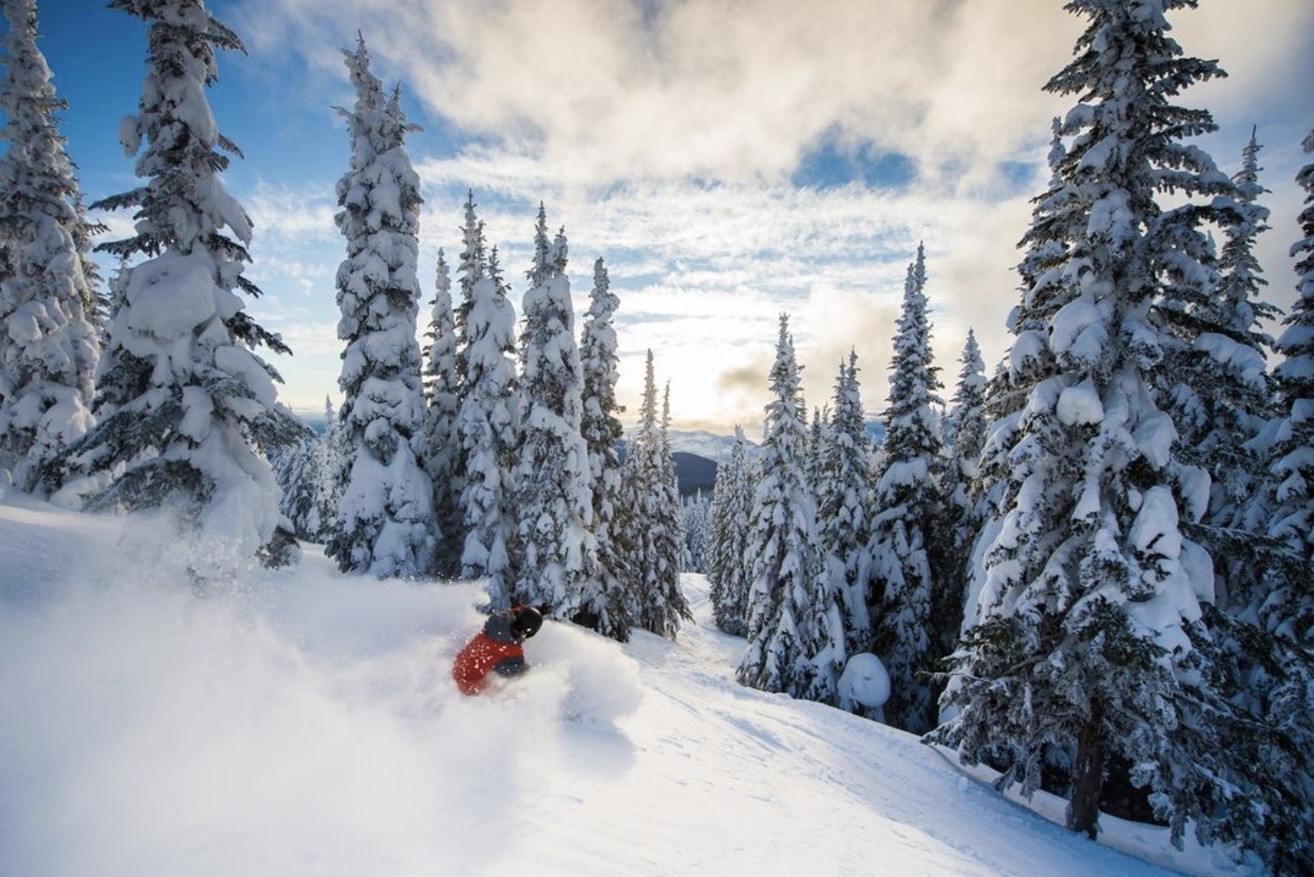 Why You Should Apply Early for a Canada Working Holiday Visa