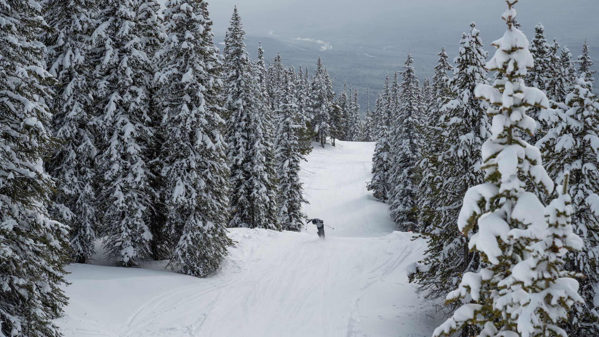 The Level 1 Ski Instructor Course by EA Ski and Snowboard Training in Canada offers professional training, real-world experience, and the chance to live and work in some of the most stunning ski resorts on the planet.