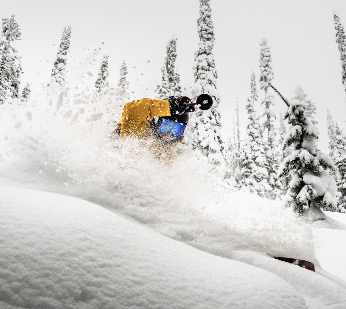 From Intern to Instructor: EA Ski and Snowboard Training Stories.