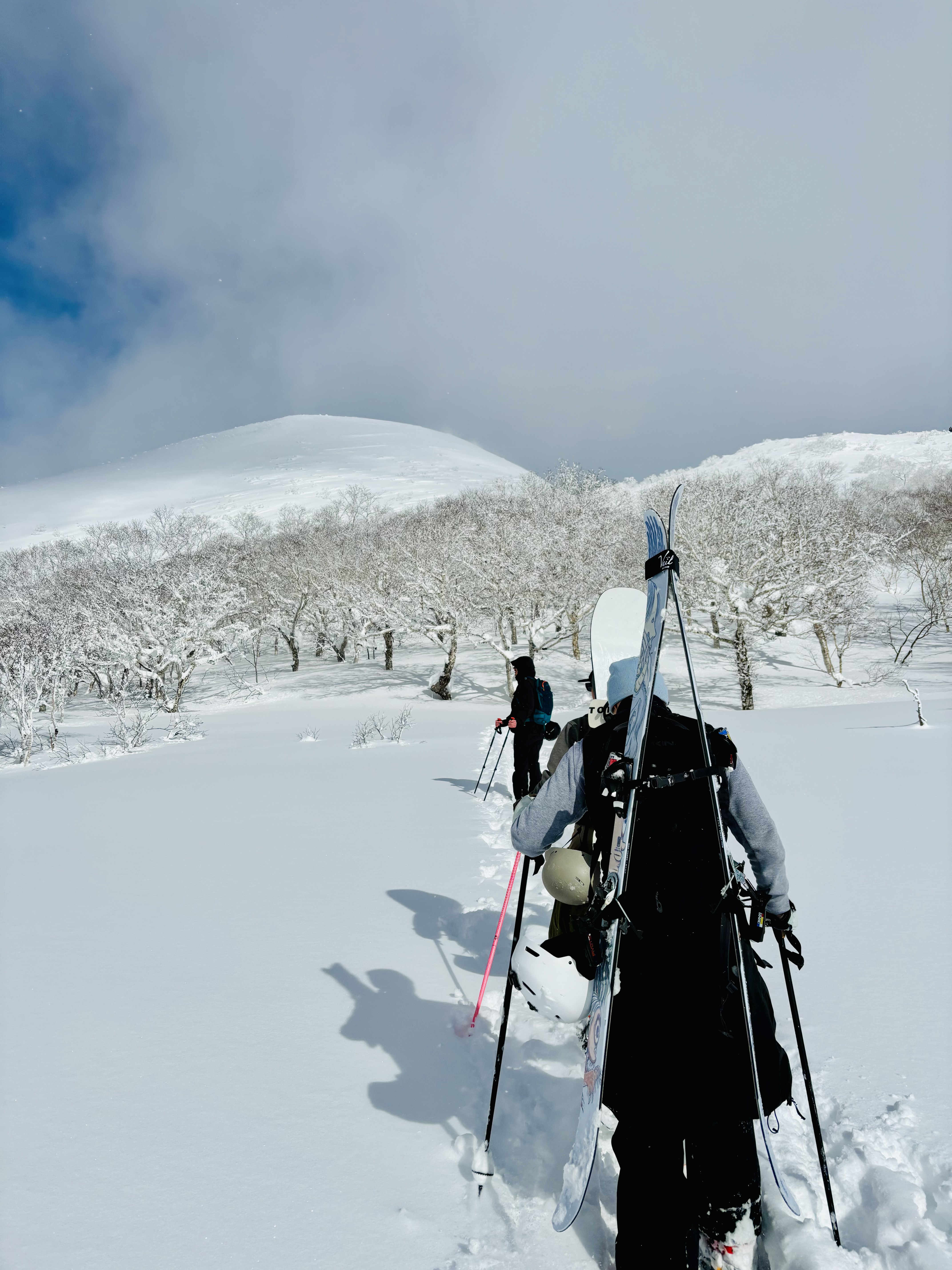 Is a Ski Instructor Career in Japan Worth It?