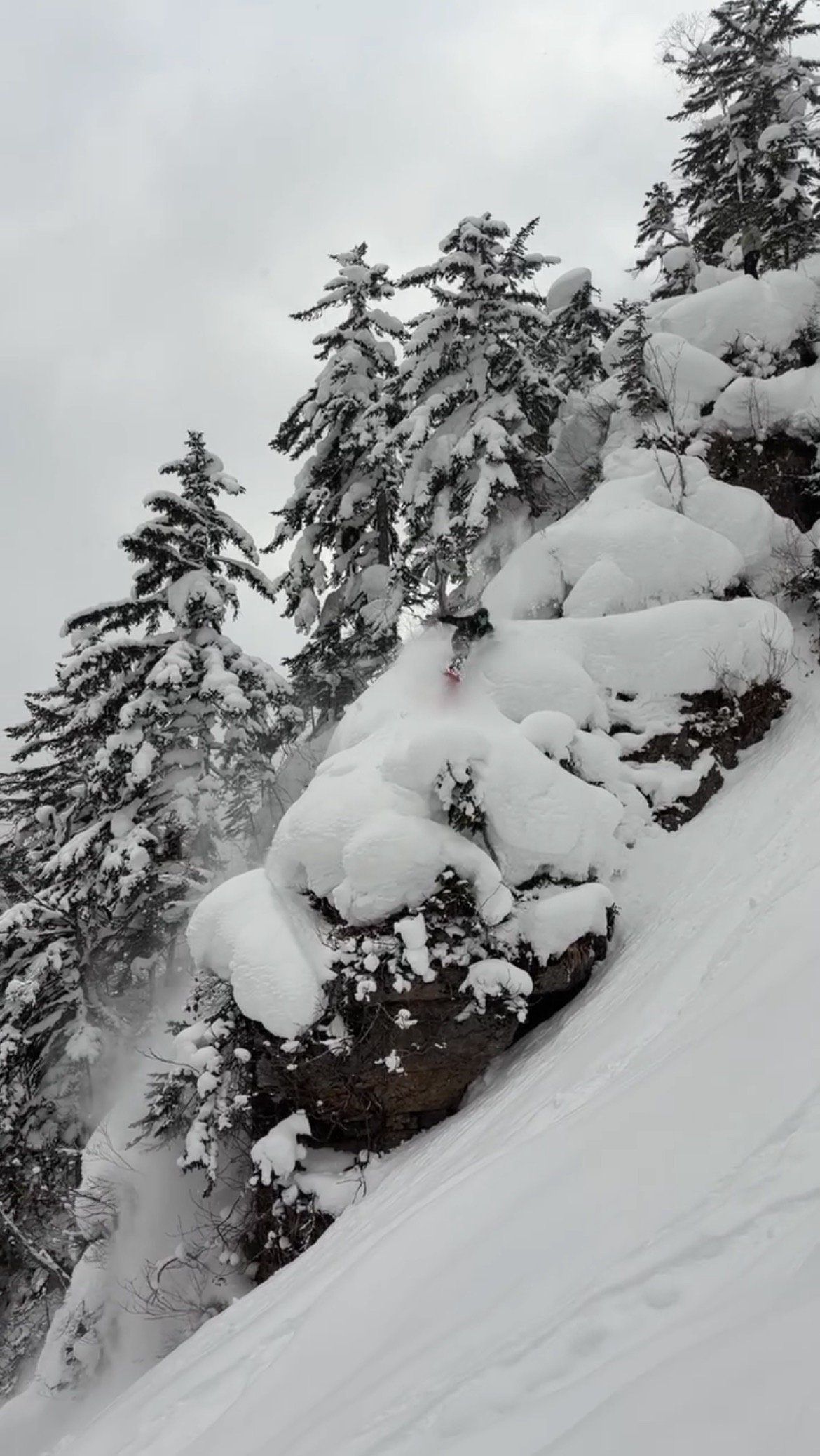 Tom Sharpe screaming down pillow runs in Hokkaido in Japan.