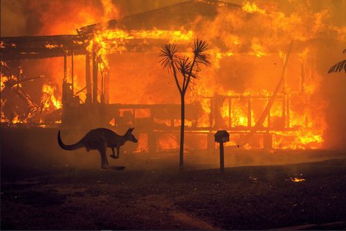 NSW Faces Heightened Bushfire Risk as Queensland's Fires Highlight Urgent Need for Preparation