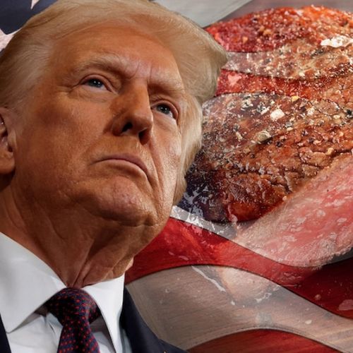 New US Tariffs on Australian Exports