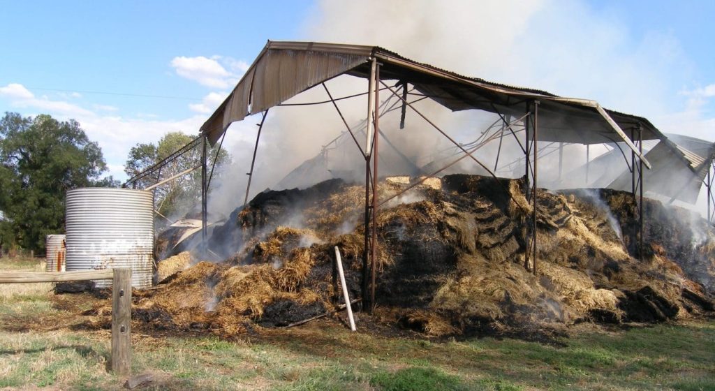After the rain, before the heat: Now’s the time to check your haystacks