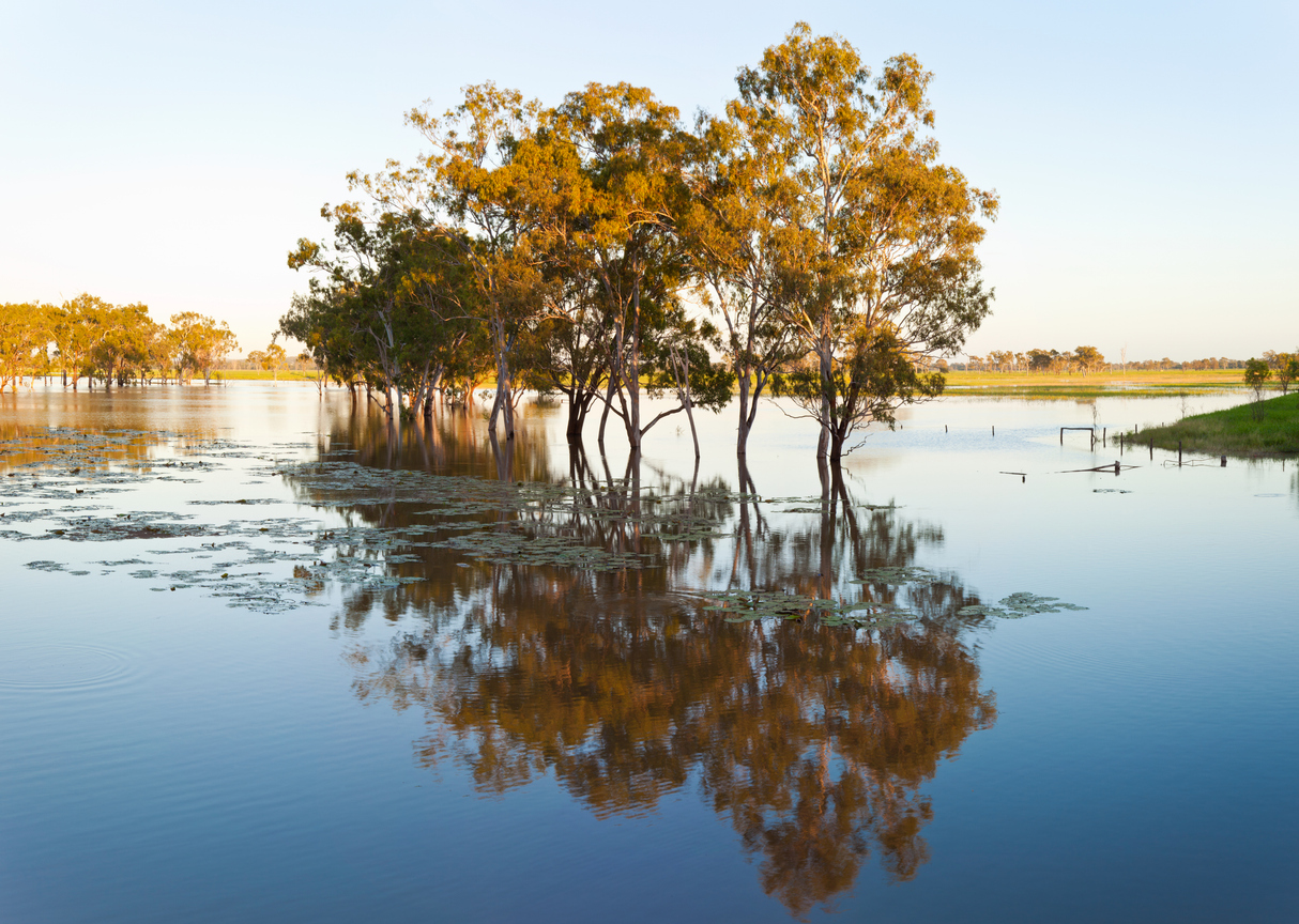 The high ground: What a Queensland success story teaches us about Northern NSW