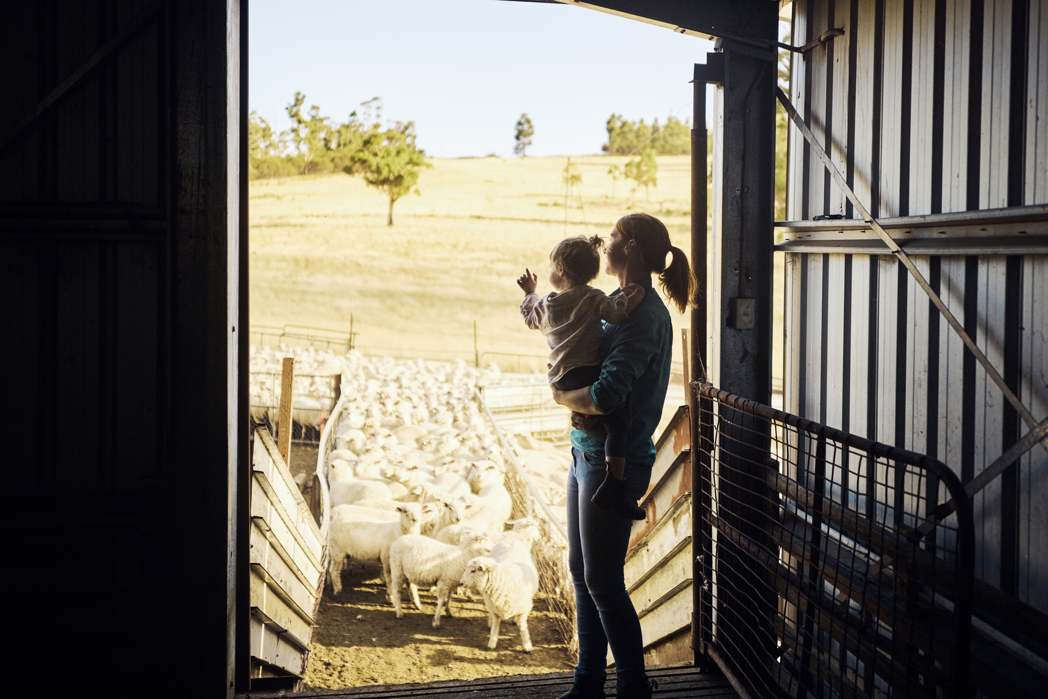 The EU Trade Deal: A kick in the guts