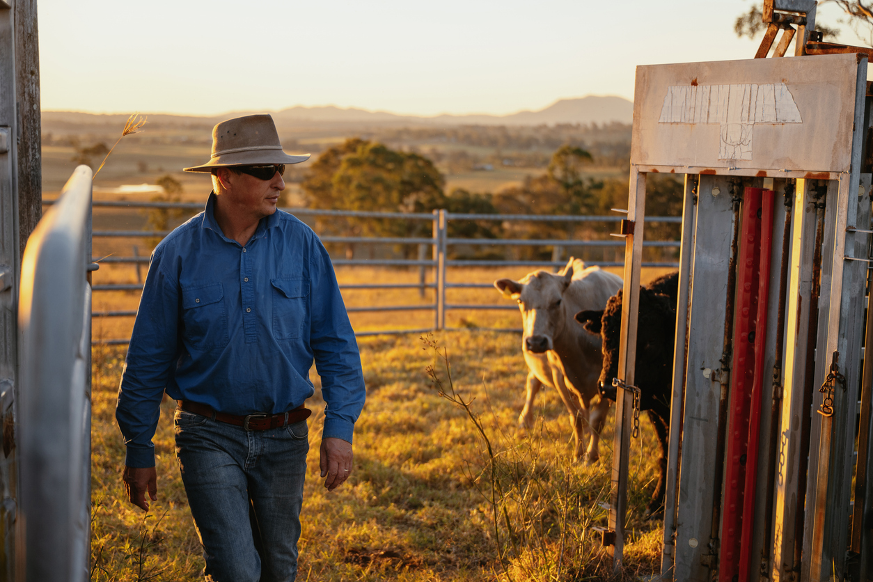 Currency shifts bite into export values, but global demand opens big doors for local producers