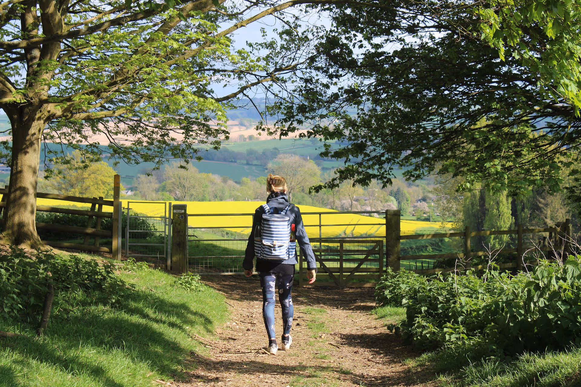 A Call to ReWild - walking in the countryside