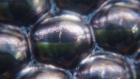 Wimbledon - Where Beauty Meets The Battle
