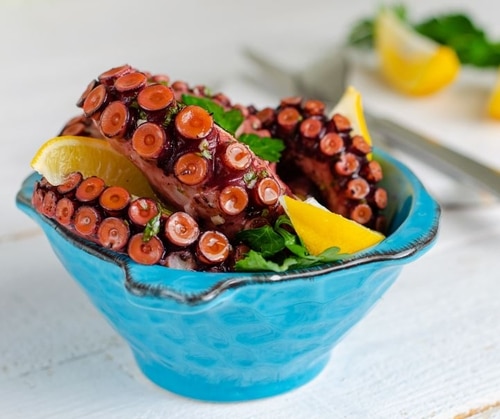 Polvo Costa Portuguesa, Polvo Português, Polvo, Receitas Polvo, Polvo Cozido e Macio, Cooked Octopus, Portuguese Octopus, Reymar