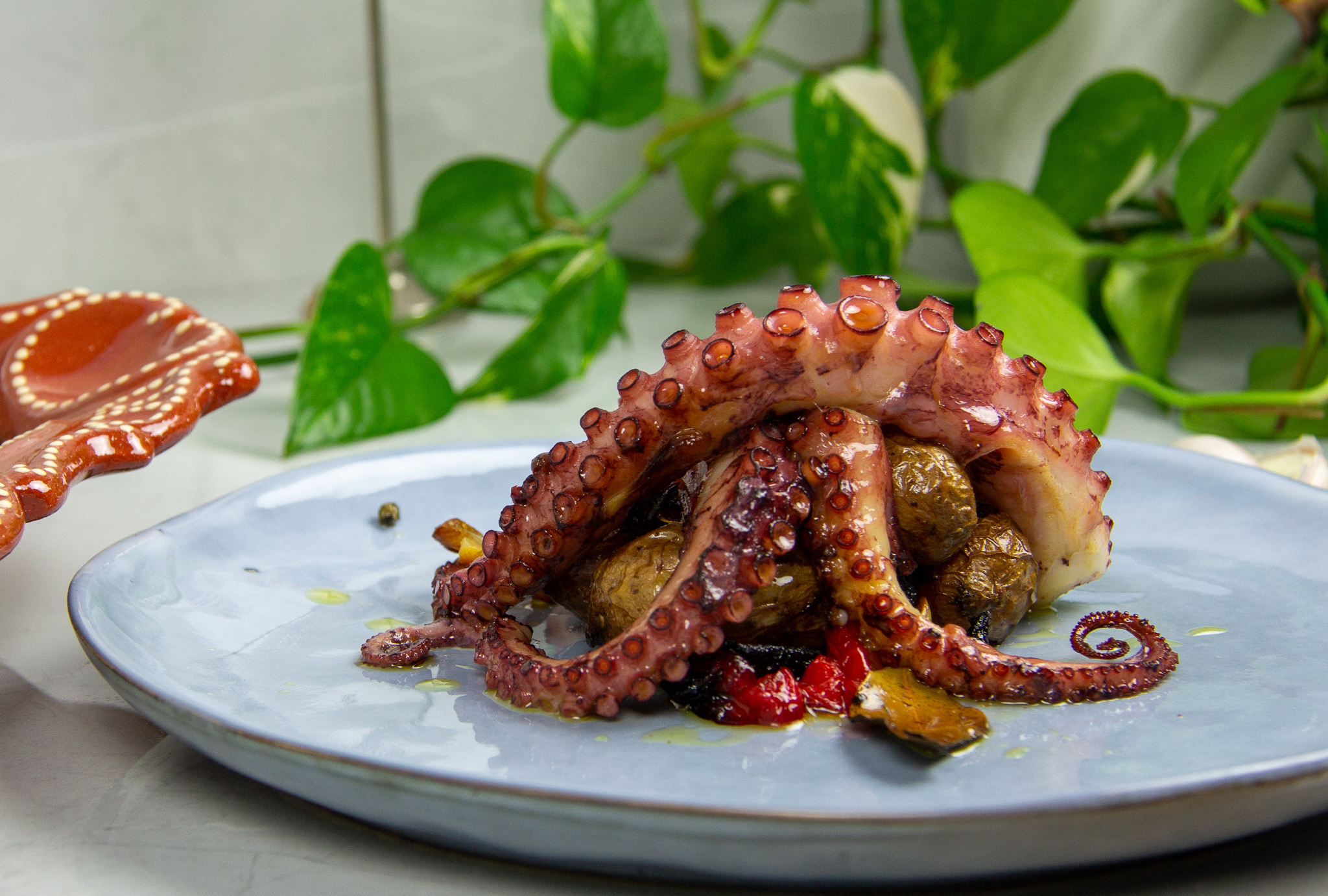 Polvo Lagareiro Receita, Portuguese Octopus Recipe Reymar