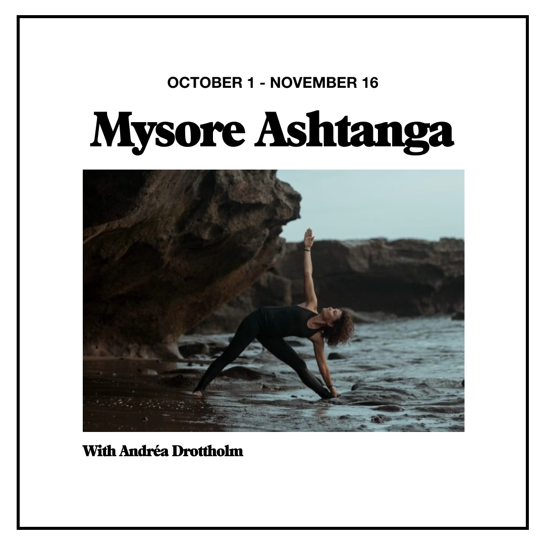 Ashtanga Mysore with Andréa Drottholm