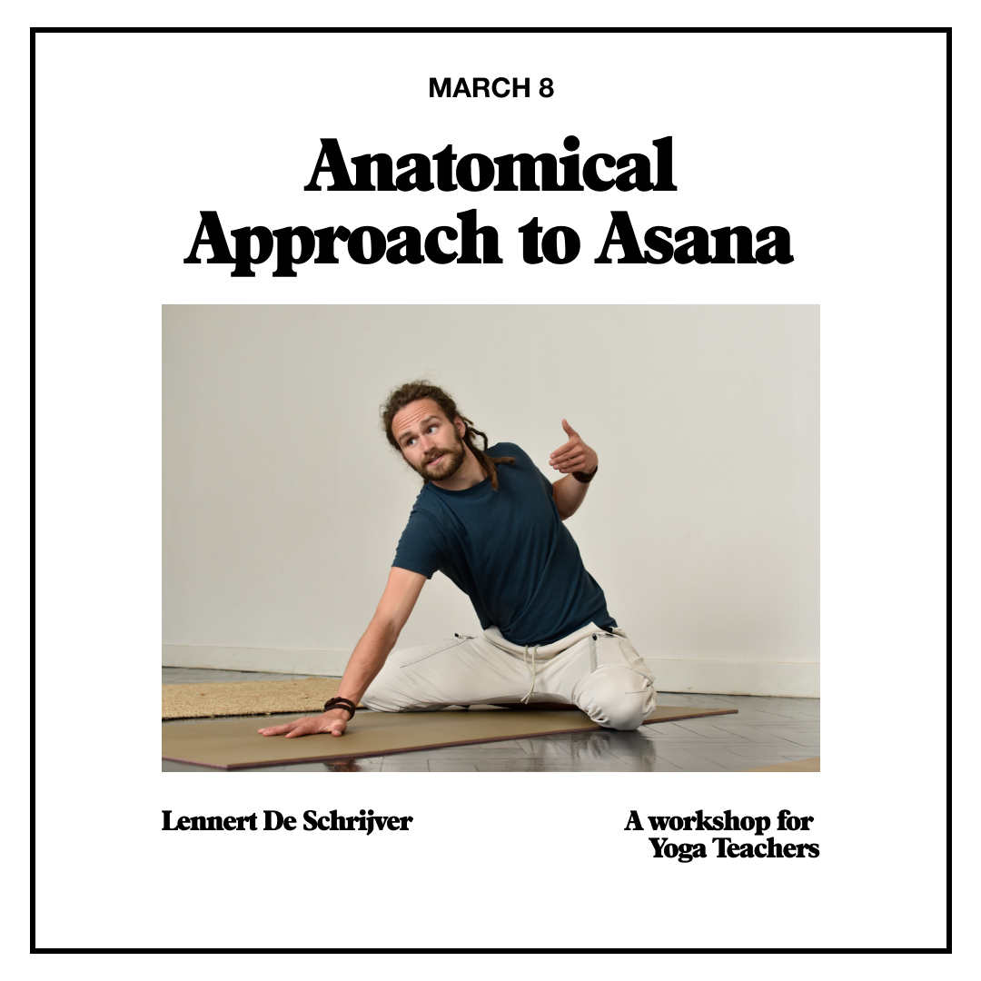 Anatomical Approach to Asana