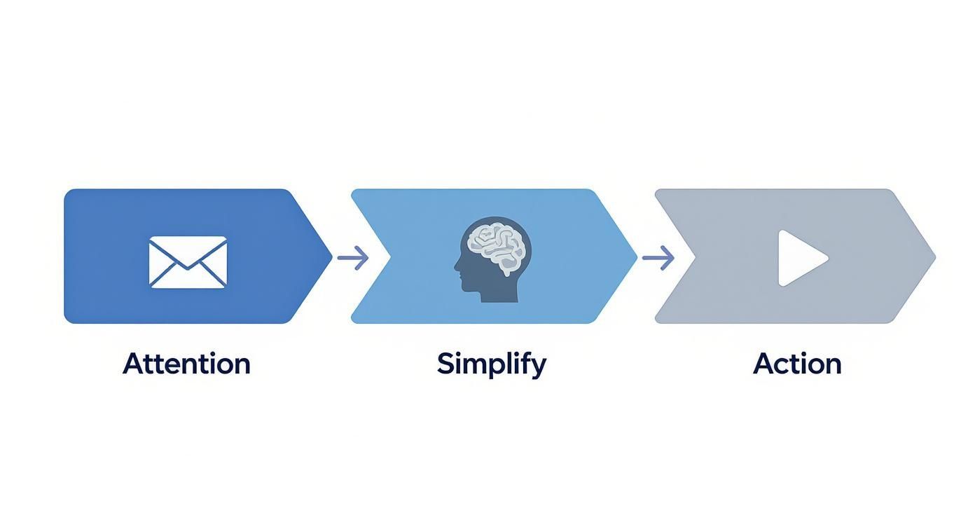 Infographic about video emails marketing