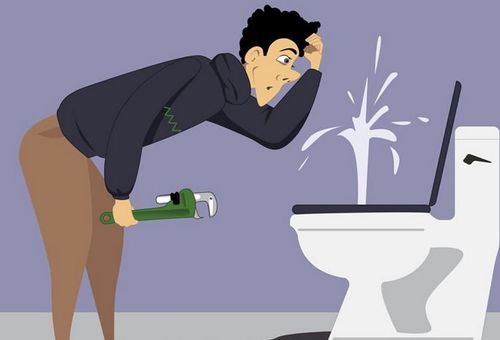 leaking toilet