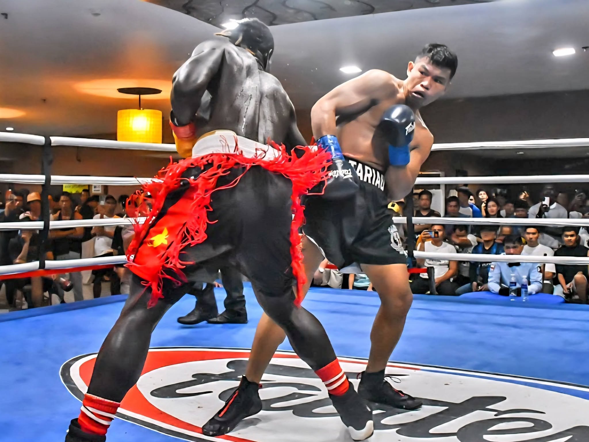 FIDELIS LAIA v JHON REY TARIAO