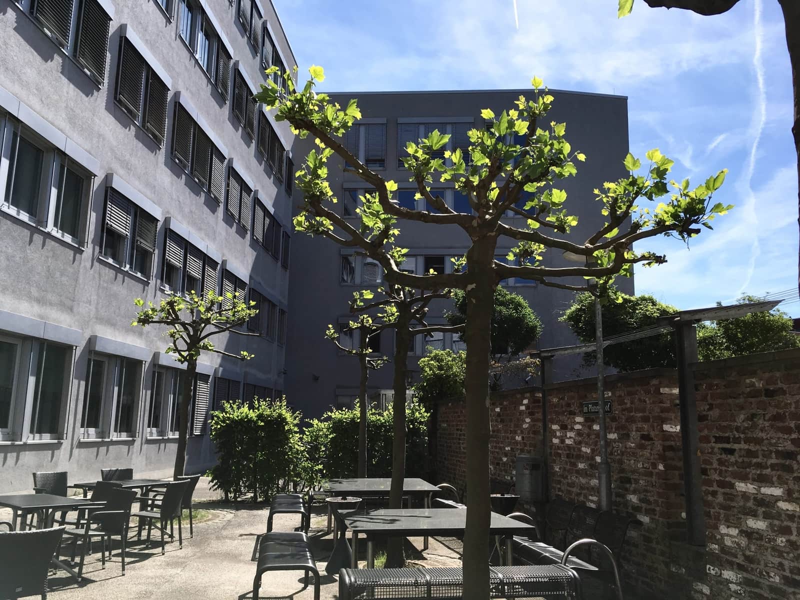 Startseite - RTZ Köln GmbH