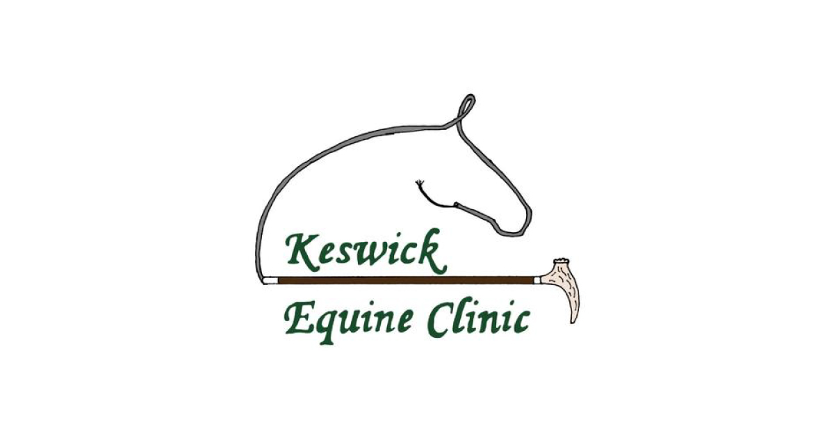 Keswick Equine Clinic logo