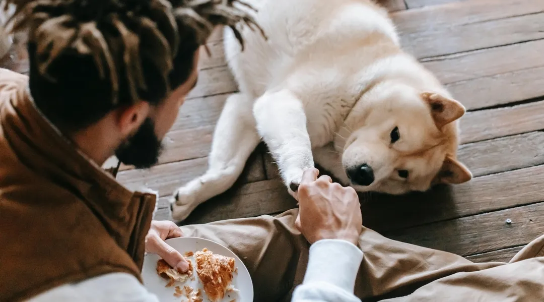 Ein Mann kniet auf dem Boden und füttert seinen Hund aus der Hand