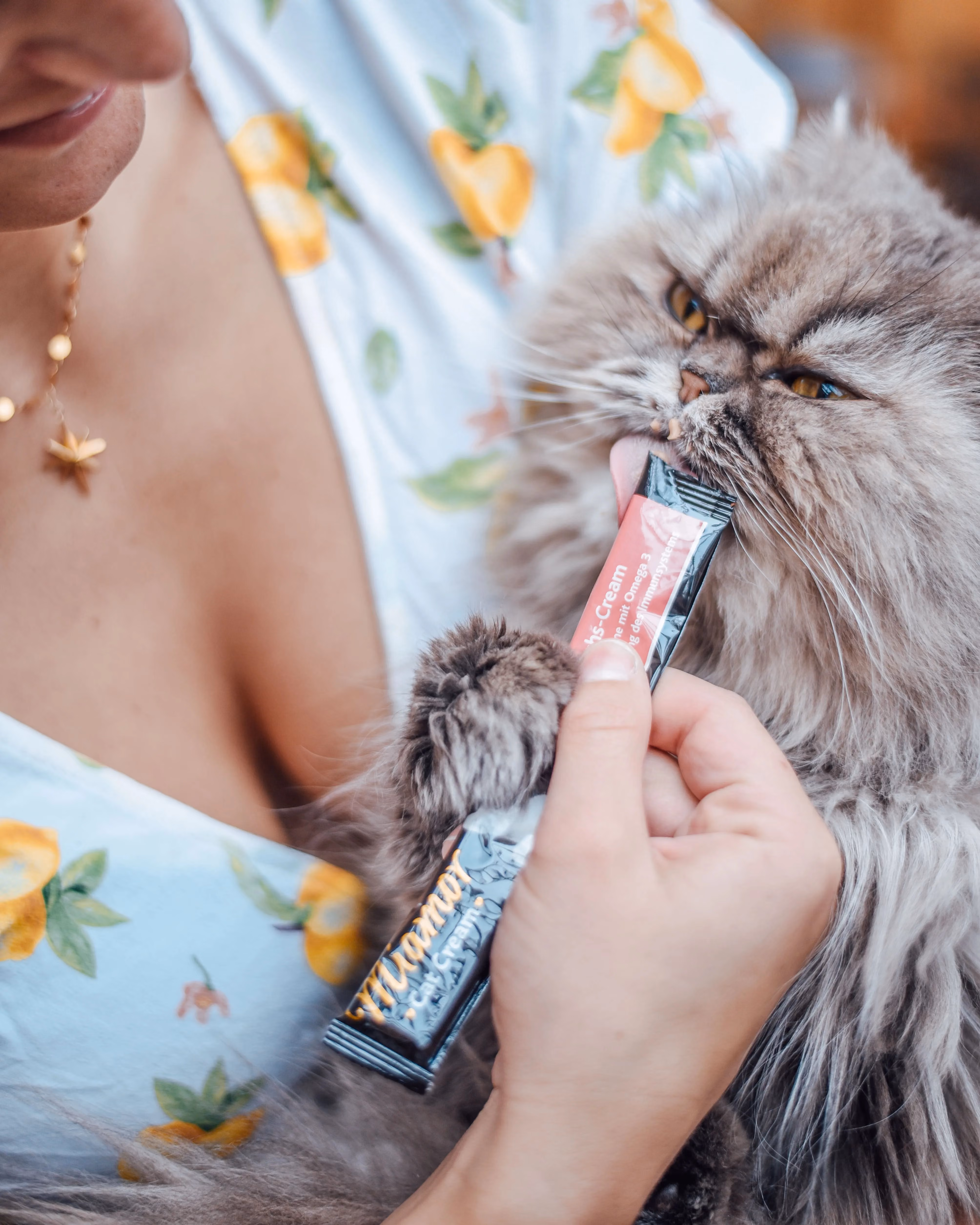 Katze nascht gerne - Social Media Content Kampagne für Unternehmen