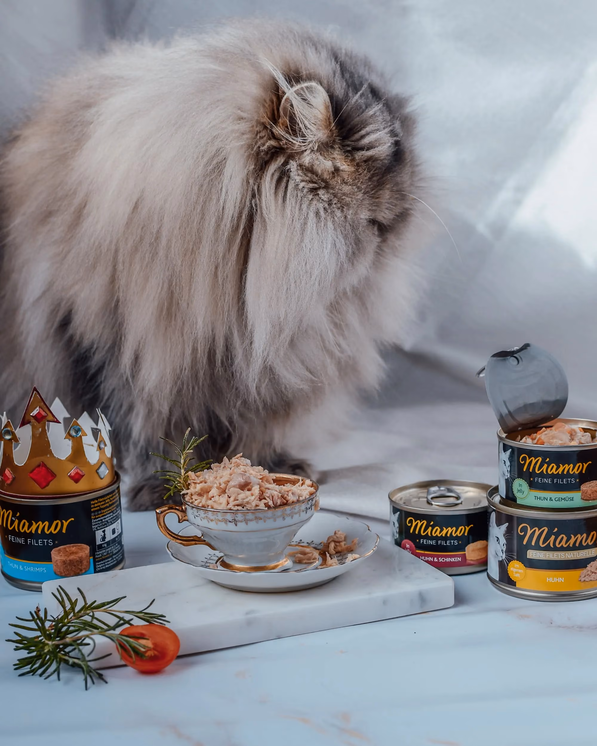 Katze genießt eine rießige Menge Katzenfutter - Social Media Content Kampagne für Unternehmen
